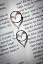 Two silver rings Royalty Free Stock Photo