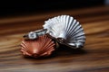 two silver wedding rings resting in a scallop shell, on a wooden table Royalty Free Stock Photo