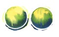 Two similar multicolored rounds. Yellow, green and blue paint on white background.