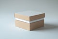 Stacked plain cardboard boxes on light gray background isolated on white background Royalty Free Stock Photo