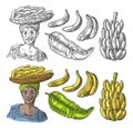 Two single and bunches of fresh banana with leaf. African woman carries a basket with fruits on her head