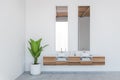Two sinks with mirror and plan, wooden drawer with towels white wall Royalty Free Stock Photo