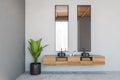 Two sinks with mirror and plant, wooden drawer with towels grey wall Royalty Free Stock Photo