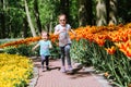 Two sister girls having fun in multicolor tulips on tulip fields. Child in tulip flower field in Holland. Kid in magical