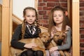 Two sister girls with puppies Royalty Free Stock Photo