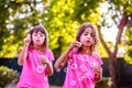 Two sisters blowing bubbles Royalty Free Stock Photo