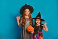 Two sisters girls in witch costumes with Halloween pumpkin looking at camera and showing Boo gesture on blue background. Royalty Free Stock Photo