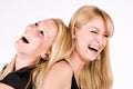 Two sisters having fun Royalty Free Stock Photo