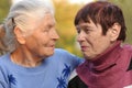 Two sisters of old age Royalty Free Stock Photo