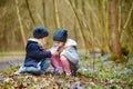 Two sisters picking the first flowers of spring Royalty Free Stock Photo