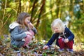 Two sisters picking the first flowers of spring Royalty Free Stock Photo