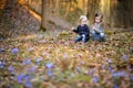 Two sisters picking the first flowers of spring Royalty Free Stock Photo