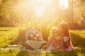 Two sisters at the picnic. Royalty Free Stock Photo