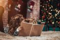 Two sisters holding a box with a gift in a green package. Christmas mood. In the background there is a decorated Christmas tree