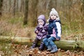 Two sisters sitting on a tree Royalty Free Stock Photo