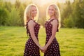 Two sisters twins beautiful curly blonde happy young toothy smile women in stylish dress posing in the summer park Royalty Free Stock Photo