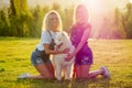 Two sisters twins beautiful curly blonde happy young women in denim shorts sitting at glass and hugging a white fluffy Royalty Free Stock Photo