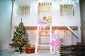 Two sisters twins in the costumes of dog poodles for the New Year. Girls playing on the porch of a white wooden house decorated wi Royalty Free Stock Photo