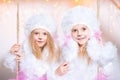 Two sisters twins in the costumes of dog poodles for the New Year. Makeup is like a dog. Portrait of a beautiful girl close-up on Royalty Free Stock Photo