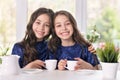 Two sisters twins drinking tea Royalty Free Stock Photo