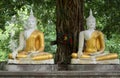 Two Sitting budda statue Royalty Free Stock Photo