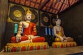 two sitting statues Buddha in Wat Chedi Luang Chiang Mai Royalty Free Stock Photo