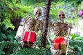 Two skeletons with gifts on hand under the tree Royalty Free Stock Photo