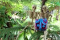 Two skeletons with gifts on hand under the tree Royalty Free Stock Photo
