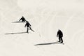 Two skiers and snowboarder at the Mark Arendz Provincial Ski Park at Brookvale Alpine