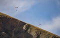 Two skydivers are flying over a mountain slope against a blue sky Royalty Free Stock Photo