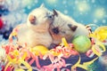 Little kittens with Christmas decoration Royalty Free Stock Photo