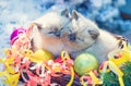 Two little kittens with Christmas decoration Royalty Free Stock Photo