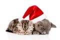 Two sleeping kittens with santa hat. isolated on white background Royalty Free Stock Photo