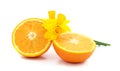 Two sliced orange with daffodils Royalty Free Stock Photo