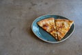 Two slices of delicious pizza on a designer loft-style porcelain plate