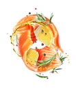 Two slices of fresh salmon with flavored spices and lemon in the air, isolated on a white background