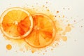 Two slices of orange on a white surface. Royalty Free Stock Photo