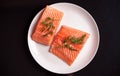 Two slices of raw salmon fillet with a sprig of dill on top on a white round plate on a dark background Royalty Free Stock Photo