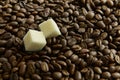 Two slices of sugar on a background of coffee beans Royalty Free Stock Photo