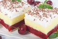 Two slices of Sweet homemade cherry cake with layers of vanilla and whipping cream Royalty Free Stock Photo