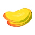 Two mango slices. Vector illustration on white background. Royalty Free Stock Photo