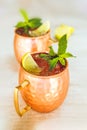 Two slylish Moscow mule cocktails in metallic cups with lemon and mint