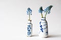 Two small antique chinese vases with blue spring flowers in front of white background. Botanical interior scene. Fresh blue hyacin