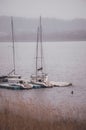 two boats are tied up on top of the water in a lake Royalty Free Stock Photo