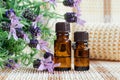 Two small bottles with essential lavender oil. Lavandula flowers close up. Aromatherapy, spa and herbal medicine ingredients.