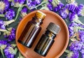 Two small bottles with essential oils on the small ceramic plate. Dark wooden background with dry purple flowers. Royalty Free Stock Photo