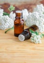 Two small bottles of essential yarrow oil