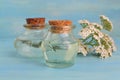 Two small bottles of essential yarrow oil with blooming plant on blue background Royalty Free Stock Photo