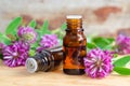 Two small bottles with red clover extract tincture, infusion, oil. Aromatherapy, spa and herbal medicine ingredients.