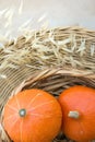 Two Small Bright Orange Heirloom Pumpkins in Wicker Basket Dry Autumn Plants on Rattan Table on Terrace. Thanksgiving Fall Royalty Free Stock Photo